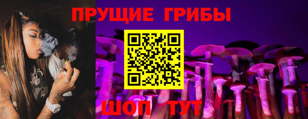 Галлюциногенные грибы MAGIC MUSHROOMS  Вход с VPN  Ирбит  Псилоцибиновые грибы GOLDEN TEACHER 